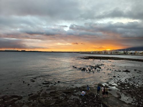 2025-11-19 01.54.17 (1)