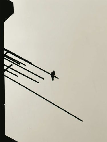 muhammad-sharifuz-aqR_fVL_vJA-unsplash